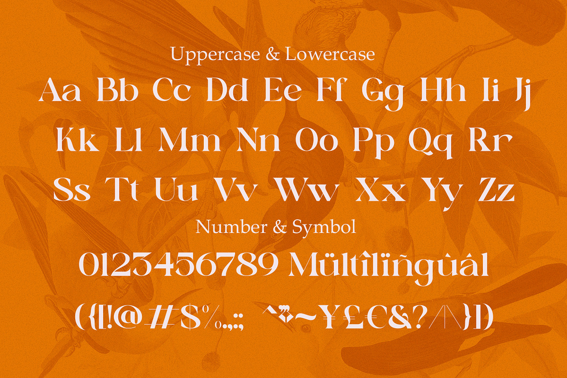 复古波西米亚风杂志海报徽标设计衬线英文字体安装包 Sunny Paradise – Decorative Serif Typeface 设计素材 sucaiwan.com