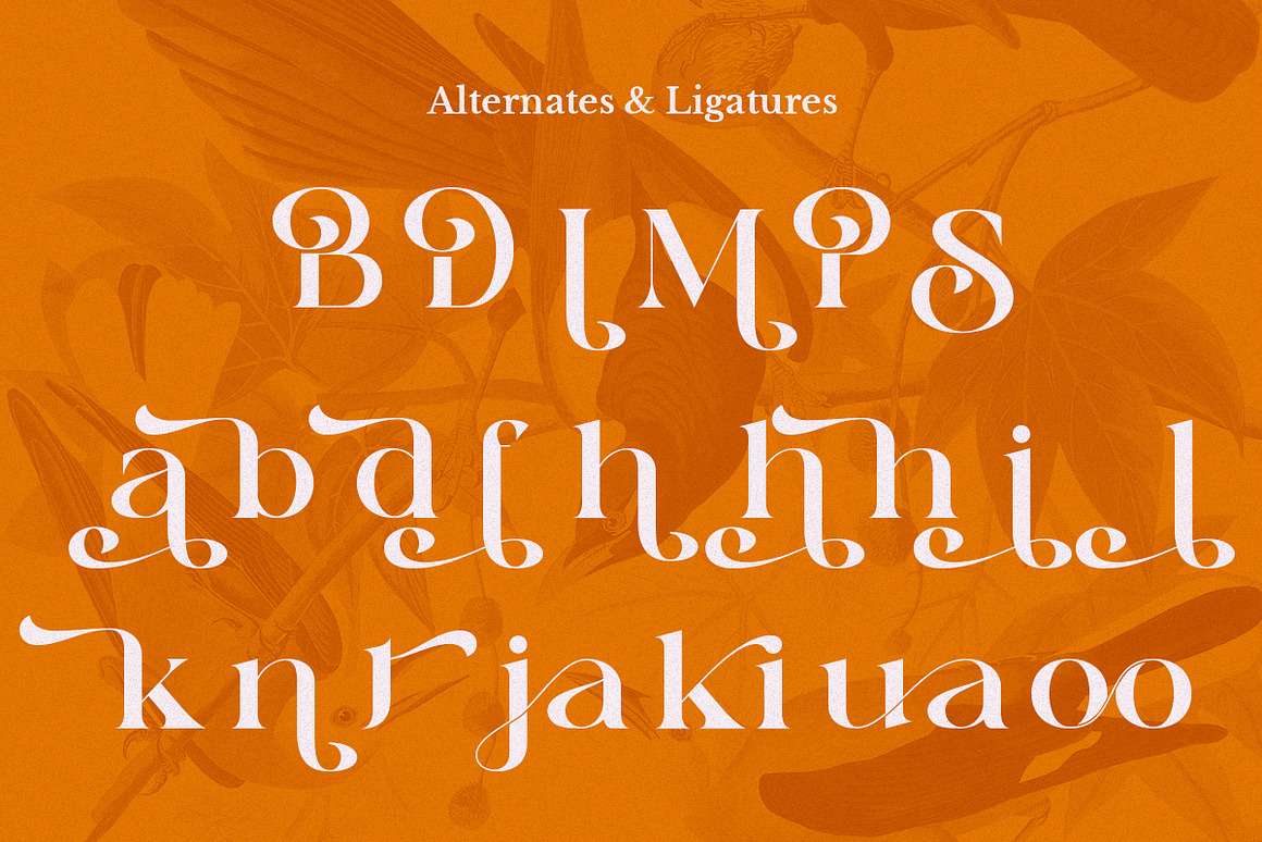 复古波西米亚风杂志海报徽标设计衬线英文字体安装包 Sunny Paradise – Decorative Serif Typeface 设计素材 sucaiwan.com