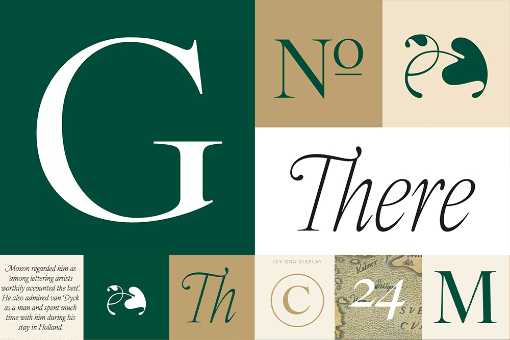 20款复古优雅文艺艺术标题文本logo排版英文西文衬线字体家族IvyOra font Family 设计素材 sucaiwan.com