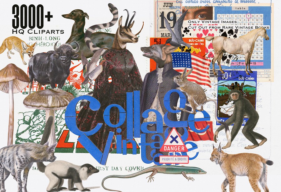 3000+超级复古拼贴艺术怀旧油画动物鸟类人物家具字母蘑菇PNG剪贴画图片设计套装3000+ Vintage Collage Mega Bundle , 第1张-素材湾丨精选海外优质设计素材资源 3000+超级复古拼贴艺术怀旧油画动物鸟类人物家具字母蘑菇PNG剪贴画图片设计套装3000+ Vintage Collage Mega Bundle , sucaiwan.com