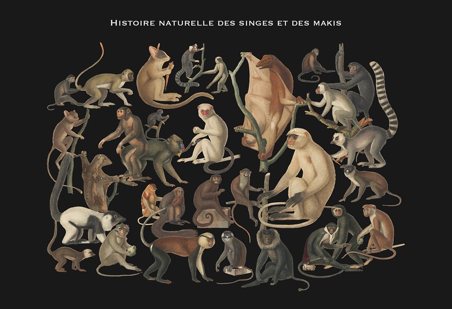 3000+超级复古拼贴艺术怀旧油画动物鸟类人物家具字母蘑菇PNG剪贴画图片设计套装3000+ Vintage Collage Mega Bundle , 第3张-素材湾丨精选海外优质设计素材资源 3000+超级复古拼贴艺术怀旧油画动物鸟类人物家具字母蘑菇PNG剪贴画图片设计套装3000+ Vintage Collage Mega Bundle , sucaiwan.com