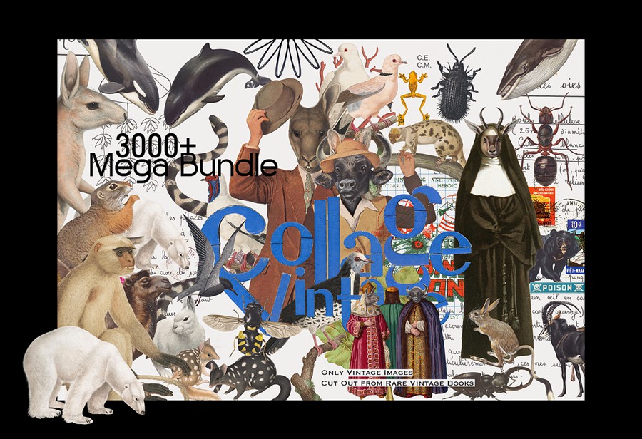 3000+超级复古拼贴艺术怀旧油画动物鸟类人物家具字母蘑菇PNG剪贴画图片设计套装3000+ Vintage Collage Mega Bundle , 第2张-素材湾丨精选海外优质设计素材资源 3000+超级复古拼贴艺术怀旧油画动物鸟类人物家具字母蘑菇PNG剪贴画图片设计套装3000+ Vintage Collage Mega Bundle , sucaiwan.com