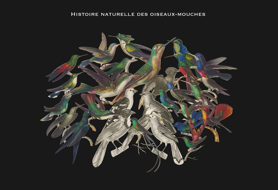 3000+超级复古拼贴艺术怀旧油画动物鸟类人物家具字母蘑菇PNG剪贴画图片设计套装3000+ Vintage Collage Mega Bundle , 第16张-素材湾丨精选海外优质设计素材资源 3000+超级复古拼贴艺术怀旧油画动物鸟类人物家具字母蘑菇PNG剪贴画图片设计套装3000+ Vintage Collage Mega Bundle , sucaiwan.com