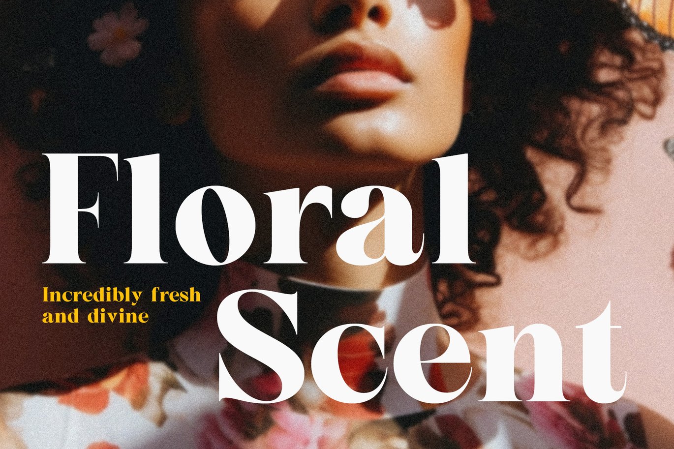 时尚优雅品牌包装婚礼徽标设计衬线英文字体安装包 Sorella – Bold serif font 设计素材 sucaiwan.com