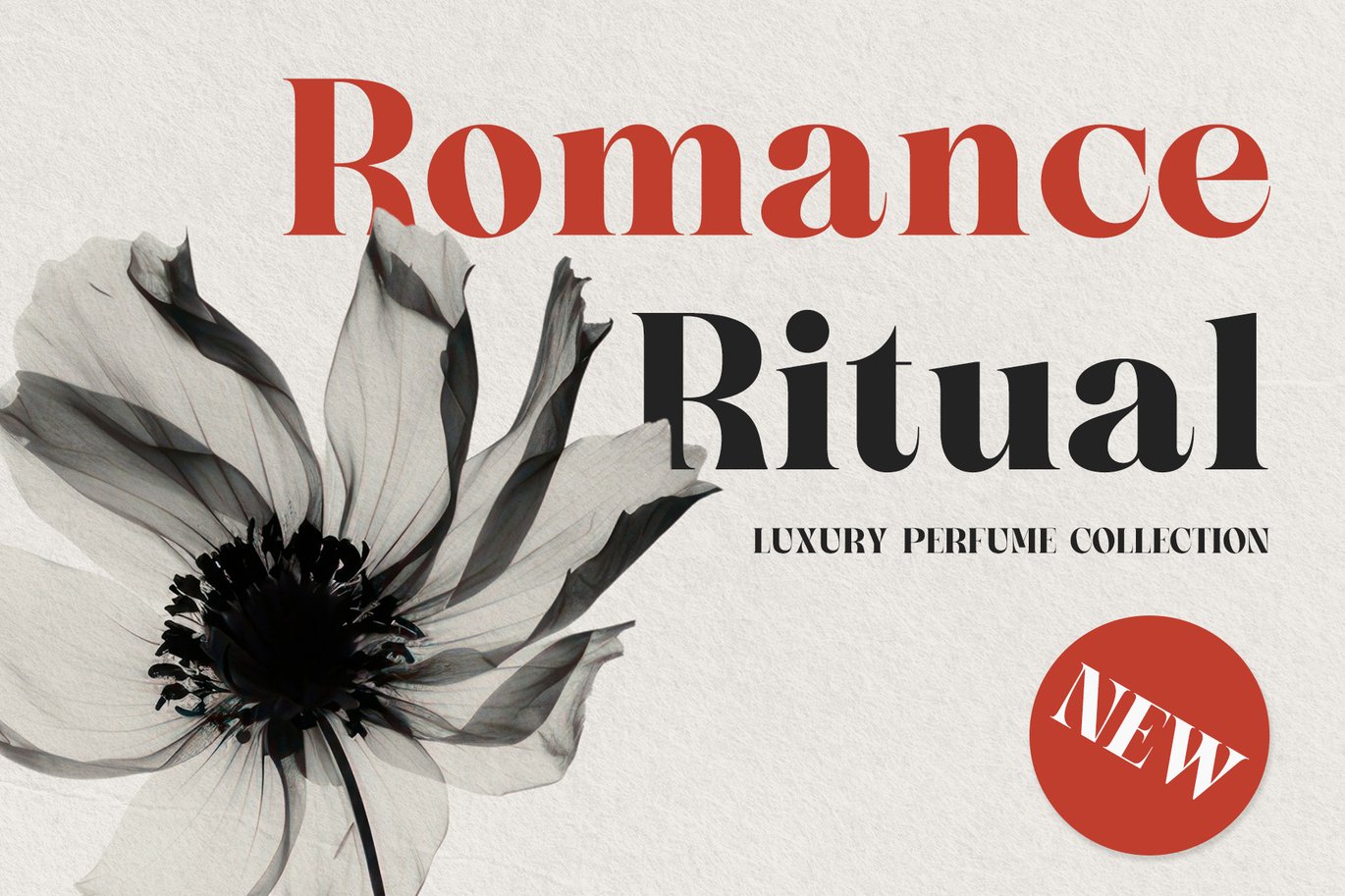 时尚优雅品牌包装婚礼徽标设计衬线英文字体安装包 Sorella – Bold serif font 设计素材 sucaiwan.com