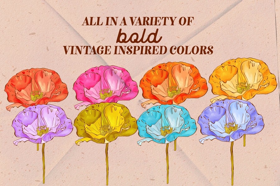 Retro Wildflowers - Bold Flowers 复古INS花卉插图和无缝图案 包装印刷 纺织印刷 海报设计 图片素材 第5张-素材湾丨精选海外优质设计素材资源 Retro Wildflowers - Bold Flowers 复古INS花卉插图和无缝图案 包装印刷 纺织印刷 海报设计 图片素材 sucaiwan.com