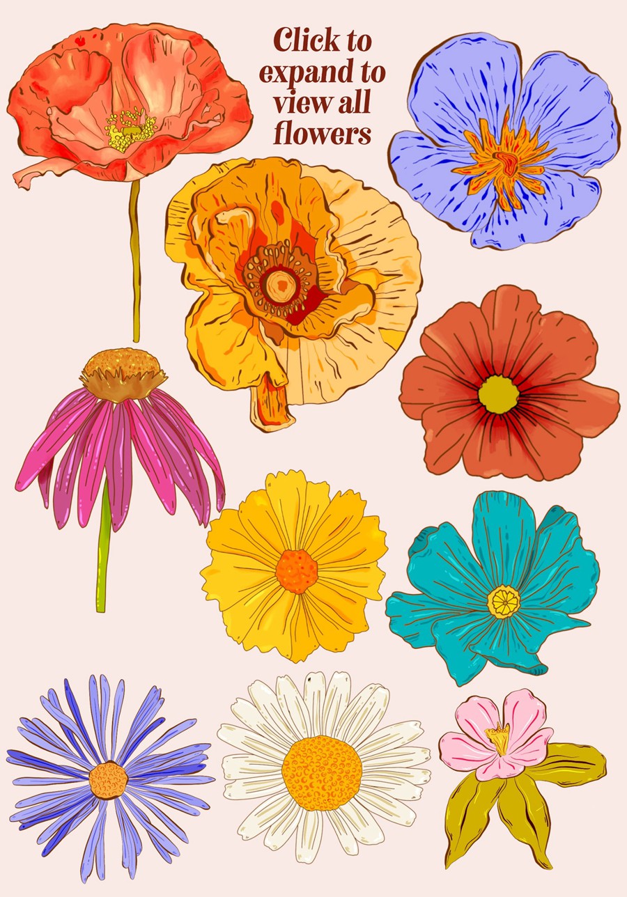 Retro Wildflowers - Bold Flowers 复古INS花卉插图和无缝图案 包装印刷 纺织印刷 海报设计 图片素材 第6张-素材湾丨精选海外优质设计素材资源 Retro Wildflowers - Bold Flowers 复古INS花卉插图和无缝图案 包装印刷 纺织印刷 海报设计 图片素材 sucaiwan.com