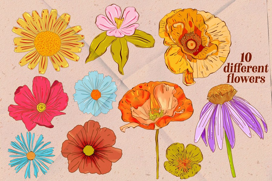 Retro Wildflowers - Bold Flowers 复古INS花卉插图和无缝图案 包装印刷 纺织印刷 海报设计 图片素材 第9张-素材湾丨精选海外优质设计素材资源 Retro Wildflowers - Bold Flowers 复古INS花卉插图和无缝图案 包装印刷 纺织印刷 海报设计 图片素材 sucaiwan.com