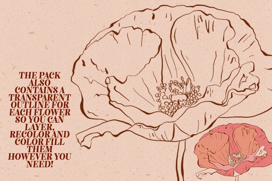 Retro Wildflowers - Bold Flowers 复古INS花卉插图和无缝图案 包装印刷 纺织印刷 海报设计 图片素材 第10张-素材湾丨精选海外优质设计素材资源 Retro Wildflowers - Bold Flowers 复古INS花卉插图和无缝图案 包装印刷 纺织印刷 海报设计 图片素材 sucaiwan.com