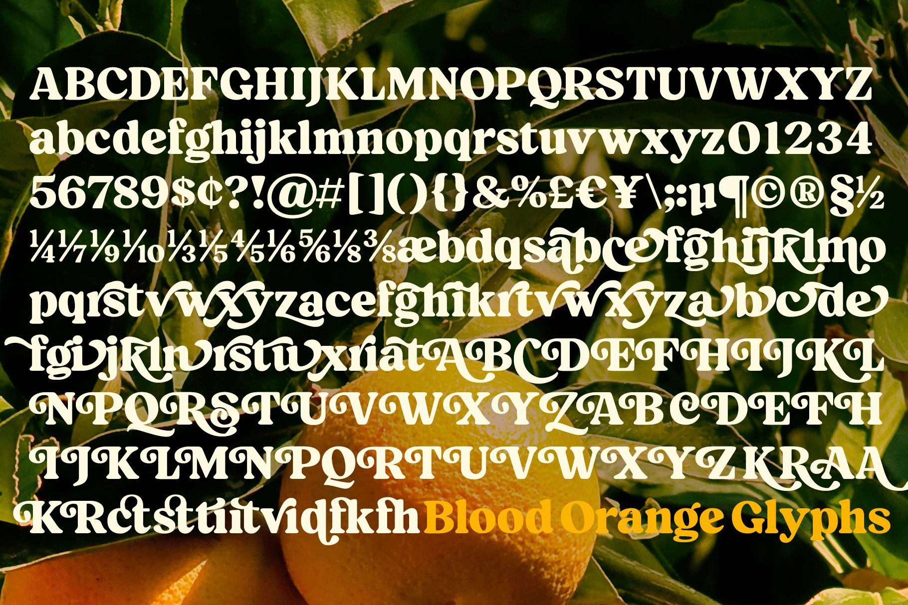 一款复古饱满圆润的衬线字体 Blood Orange Vintage Serif 在杂志、标题、海报、广告和包装字体 设计素材 第10张-素材湾丨精选海外优质设计素材资源 一款复古饱满圆润的衬线字体 Blood Orange Vintage Serif 在杂志、标题、海报、广告和包装字体 设计素材 sucaiwan.com