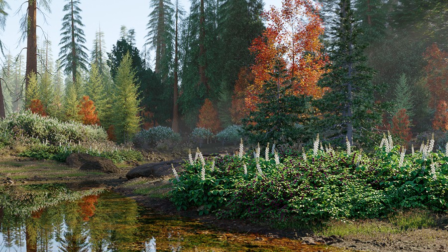 北美洲云杉松树红杉树木3D模型素材 Bundle 52 – North American Trees – 3D Model 样机素材 sucaiwan.com