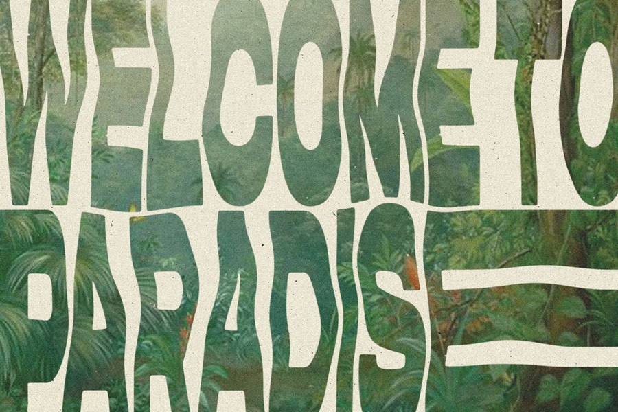 LUNAR PALMS Font 一种完全独特自定义手绘复古标志大写+数字字体 设计素材 sucaiwan.com