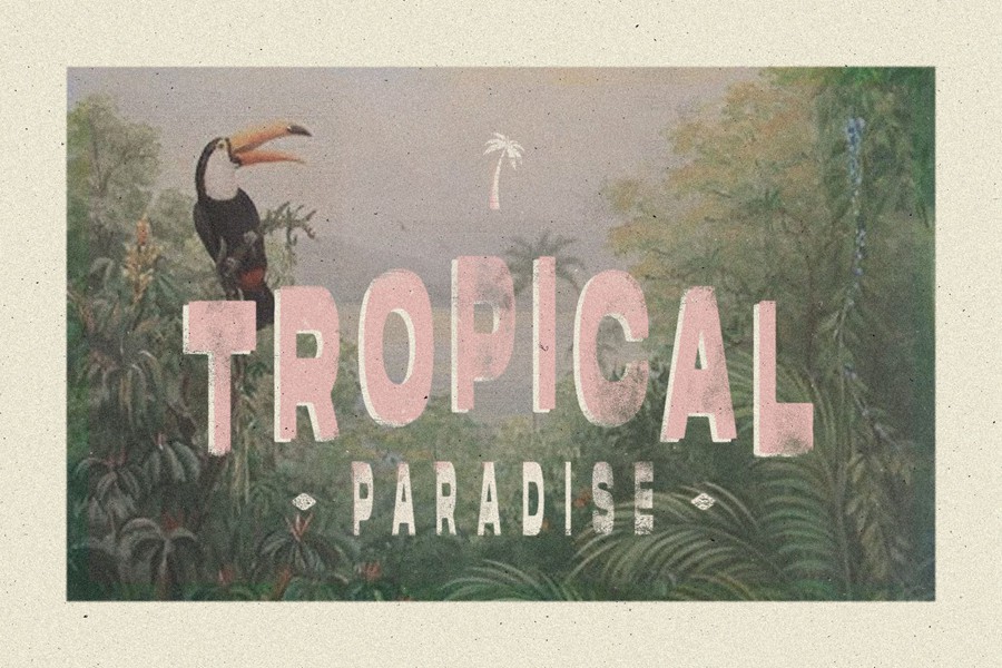 LUNAR PALMS Font 一种完全独特自定义手绘复古标志大写+数字字体 设计素材 sucaiwan.com