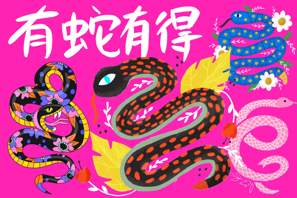 51款趣味卡通蛇年新年手绘花与蛇AI/EPS矢量插画插图设计源文件精选New Year of Snake Illustration 图片素材 sucaiwan.com