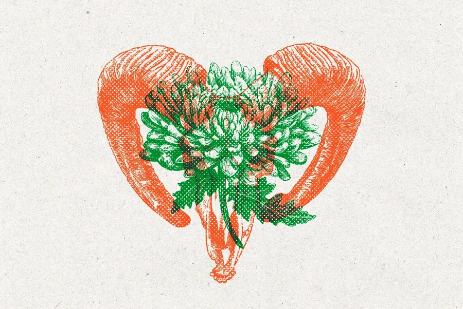 复古半色调riso打印复印照片效果ps特效滤镜样机 Vintage Overprint Effect 插件预设 第4张-素材湾丨精选海外优质设计素材资源 复古半色调riso打印复印照片效果ps特效滤镜样机 Vintage Overprint Effect 插件预设 sucaiwan.com