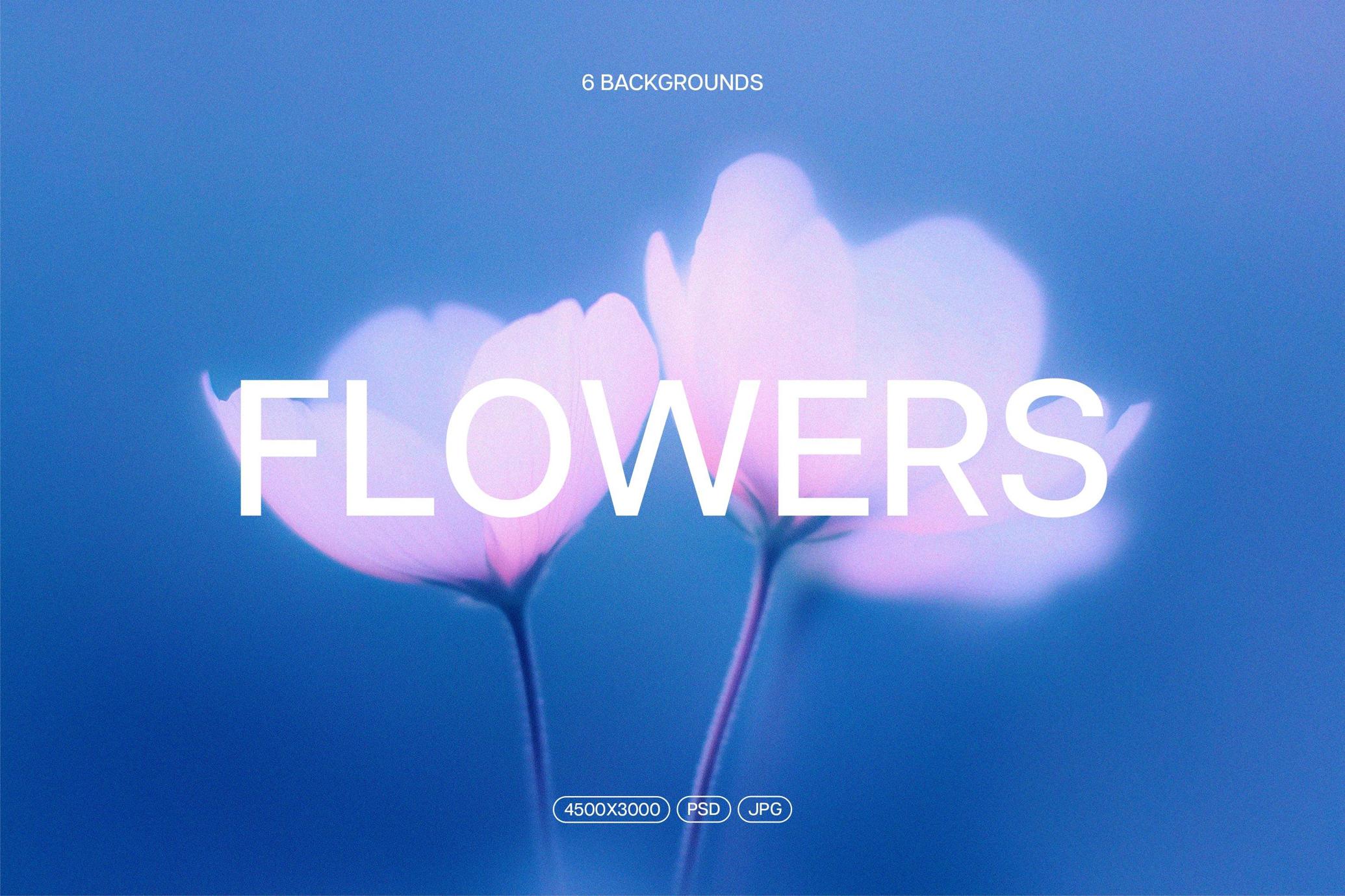 6款抽象艺术蓝色花朵宁静花卉柔和渐变背景壁纸图片设计套装Abstact Blurred Flower Textures 图片素材 第1张-素材湾丨精选海外优质设计素材资源 6款抽象艺术蓝色花朵宁静花卉柔和渐变背景壁纸图片设计套装Abstact Blurred Flower Textures 图片素材 sucaiwan.com