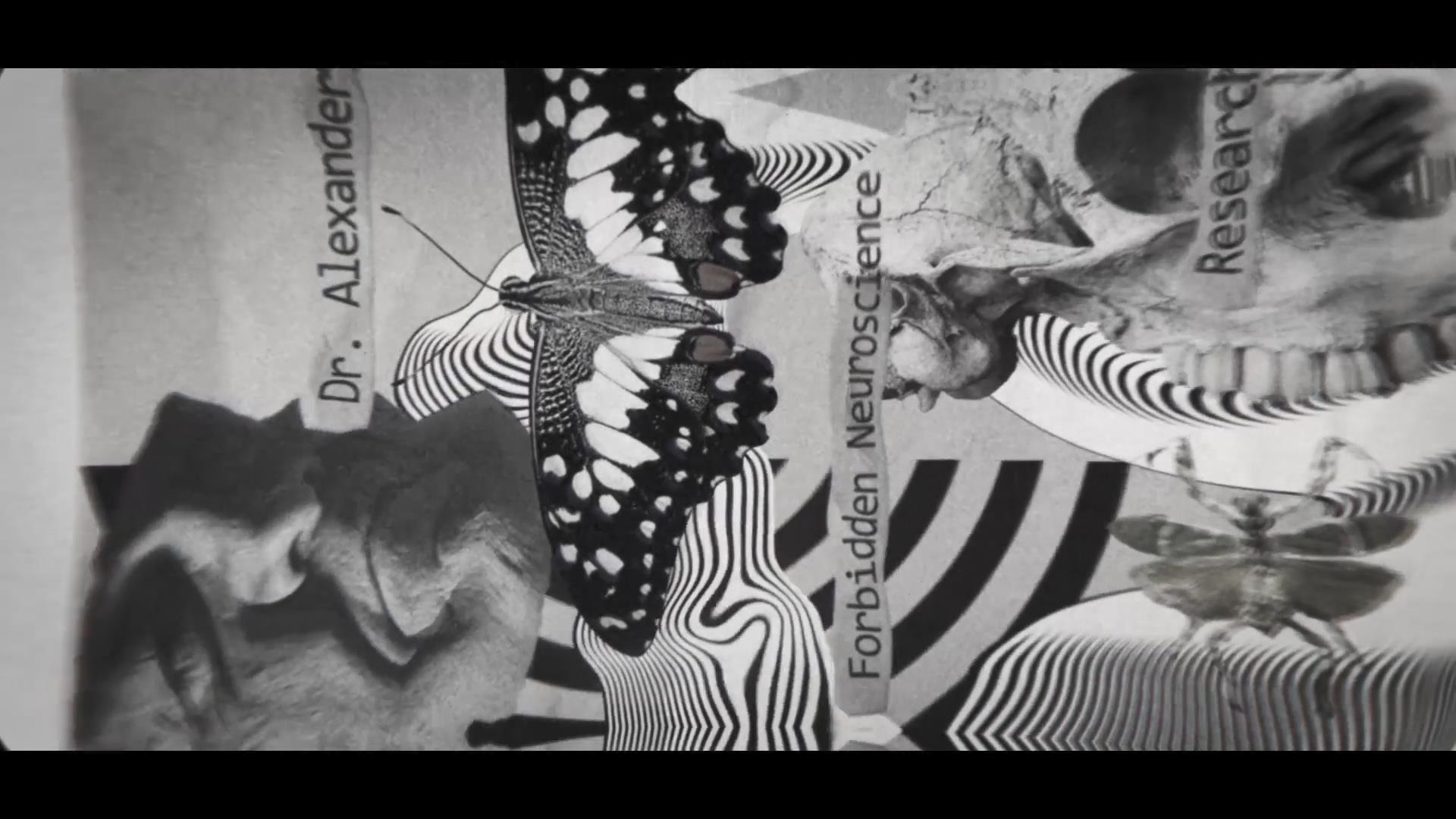 复古摇滚迷幻抽象流体拼贴艺术视频片头片尾AE/PR模板Introduction to Creative Psycho Style Collage , sucaiwan.com