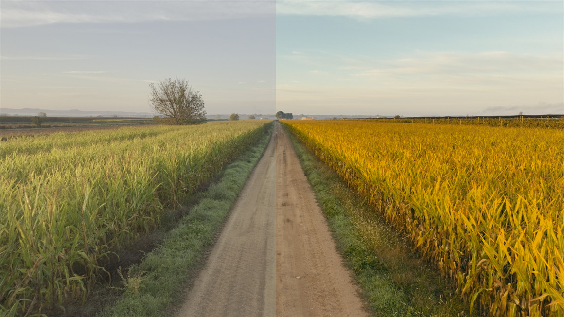 复古柯达2383电影美学胶片模拟色彩摄影达芬奇调色节点 Kodak 2383 PowerGrade 插件预设 第2张-素材湾丨精选海外优质设计素材资源 复古柯达2383电影美学胶片模拟色彩摄影达芬奇调色节点 Kodak 2383 PowerGrade 插件预设 sucaiwan.com