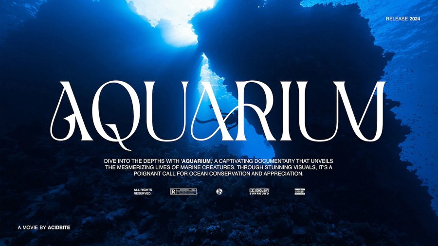 AcidBite - BOLD TITLES 25种4K时尚史诗电影美学视频封面艺术海报设计标题横屏+手机竖屏标题 PS/PR/AE/达芬奇标题 四合一模板预设插件 插件预设 第4张-素材湾丨精选海外优质设计素材资源 AcidBite - BOLD TITLES 25种4K时尚史诗电影美学视频封面艺术海报设计标题横屏+手机竖屏标题 PS/PR/AE/达芬奇标题 四合一模板预设插件 插件预设 sucaiwan.com