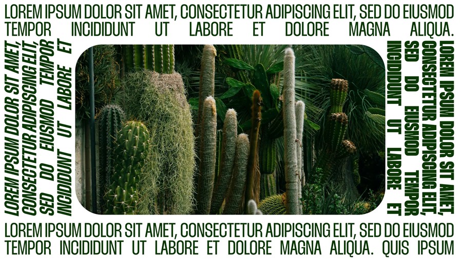 AcidBite - BOLD TITLES 25种4K时尚史诗电影美学视频封面艺术海报设计标题横屏+手机竖屏标题 PS/PR/AE/达芬奇标题 四合一模板预设插件 插件预设 第16张-素材湾丨精选海外优质设计素材资源 AcidBite - BOLD TITLES 25种4K时尚史诗电影美学视频封面艺术海报设计标题横屏+手机竖屏标题 PS/PR/AE/达芬奇标题 四合一模板预设插件 插件预设 sucaiwan.com