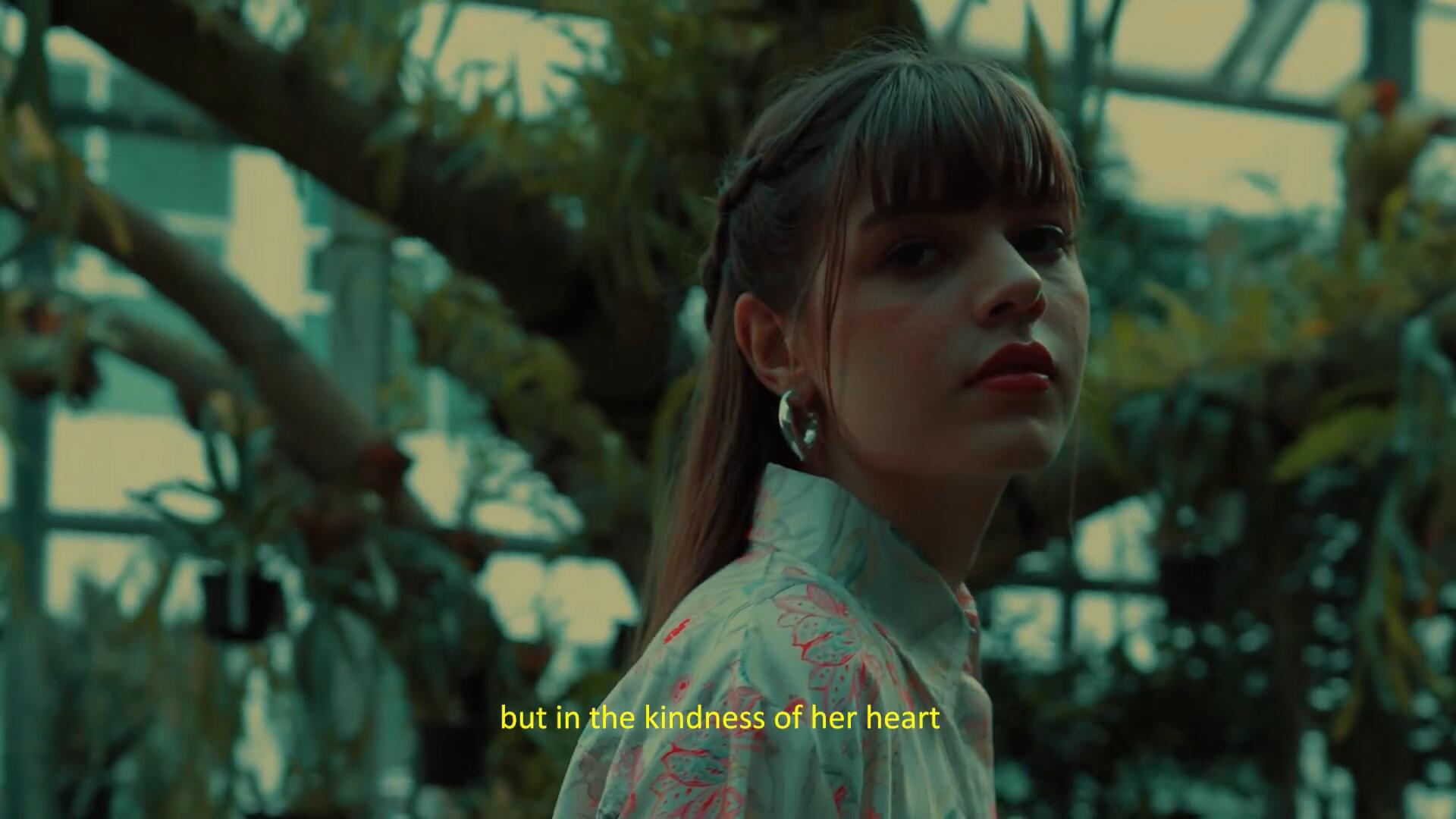 FILM LUT 复古电影美学胶片模拟S-Log3色彩分级视频短片LUT调色预设 , sucaiwan.com