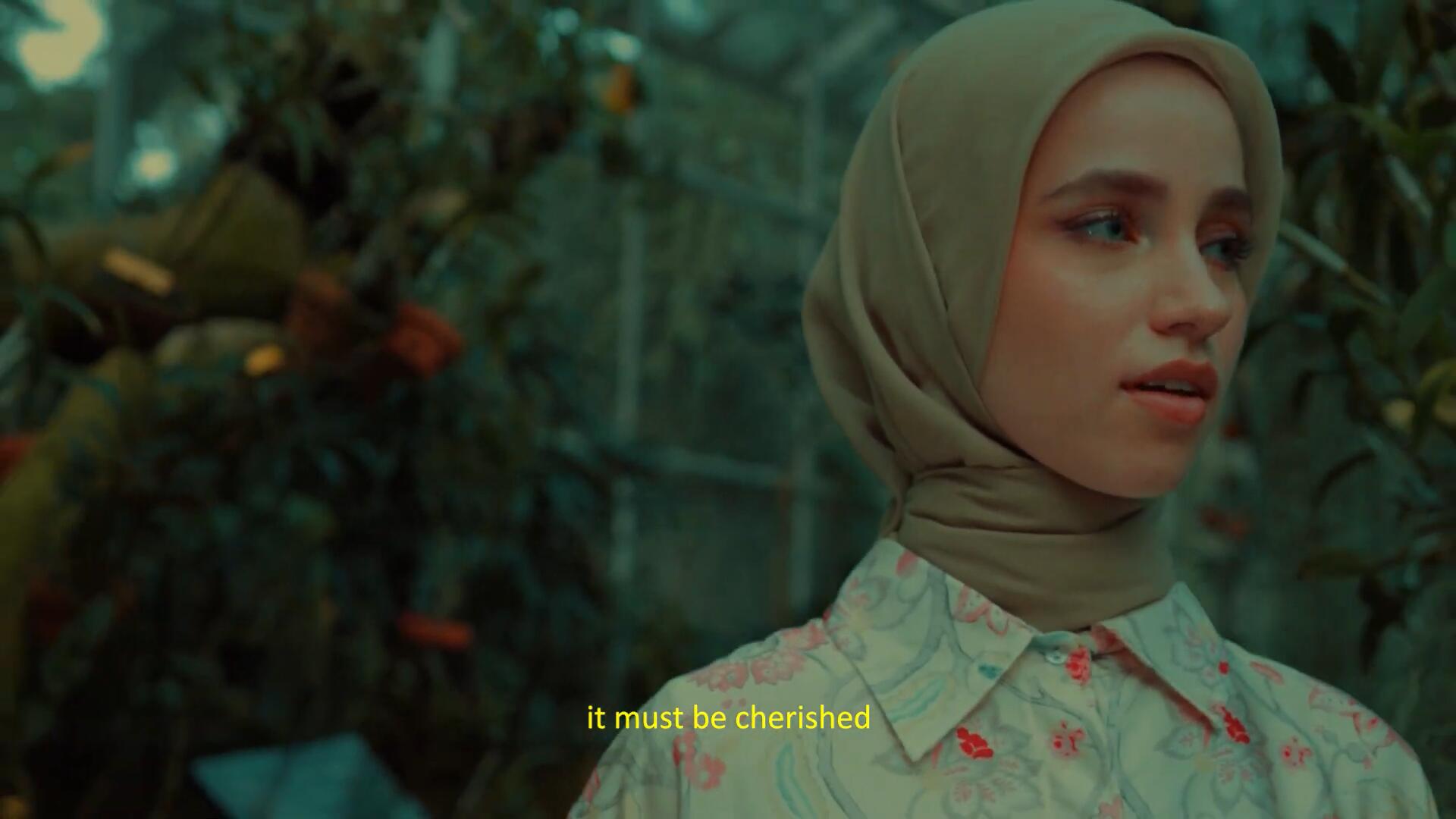 FILM LUT 复古电影美学胶片模拟S-Log3色彩分级视频短片LUT调色预设 , sucaiwan.com