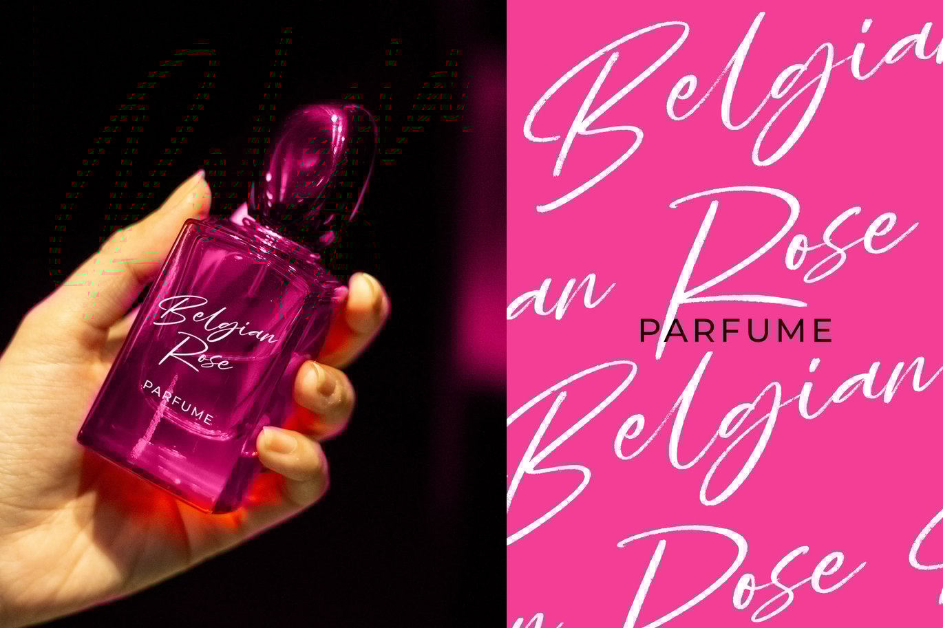 现代优雅杂志品牌徽标设计手写英文字体安装包 Batemin Brush Script Font 设计素材 第2张-素材湾丨精选海外优质设计素材资源 现代优雅杂志品牌徽标设计手写英文字体安装包 Batemin Brush Script Font 设计素材 sucaiwan.com