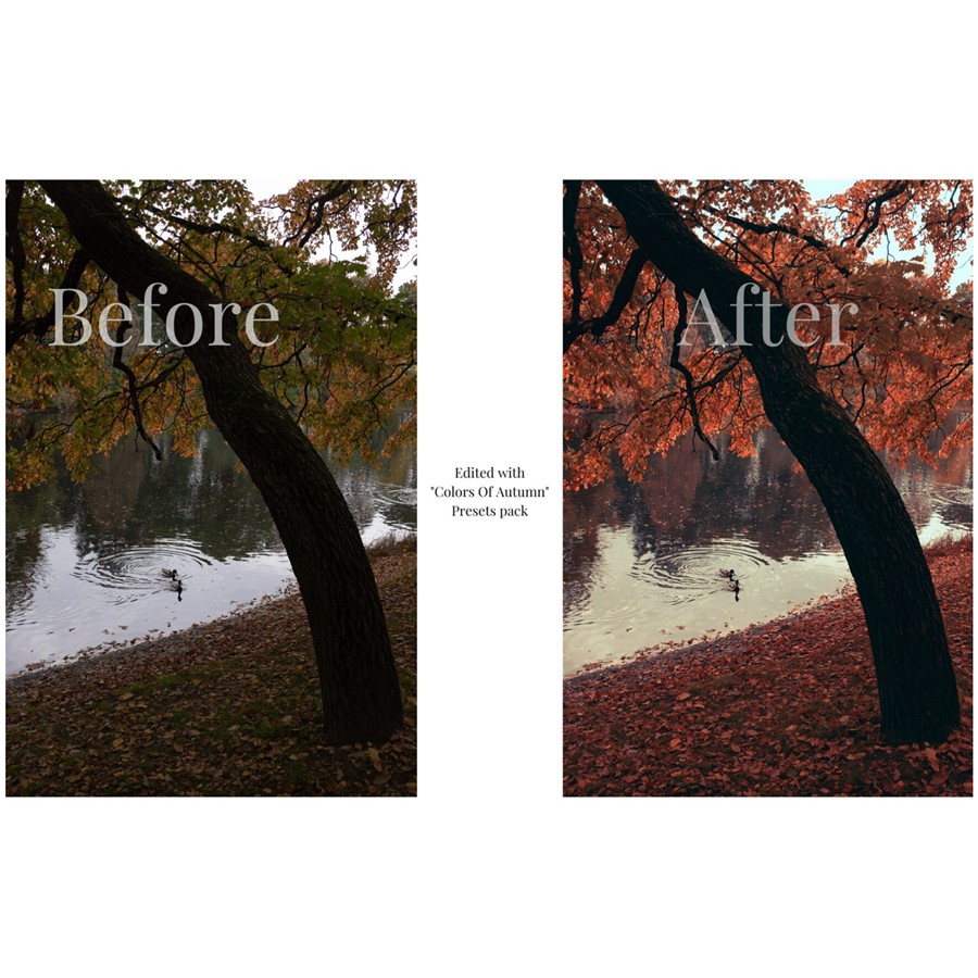 Colors Of Autumn 秋天的颜色城市人文扫街风光人像Lightroom Presets 大师预设 by Viktor Balaguer 插件预设 第3张-素材湾丨精选海外优质设计素材资源 Colors Of Autumn 秋天的颜色城市人文扫街风光人像Lightroom Presets 大师预设 by Viktor Balaguer 插件预设 sucaiwan.com