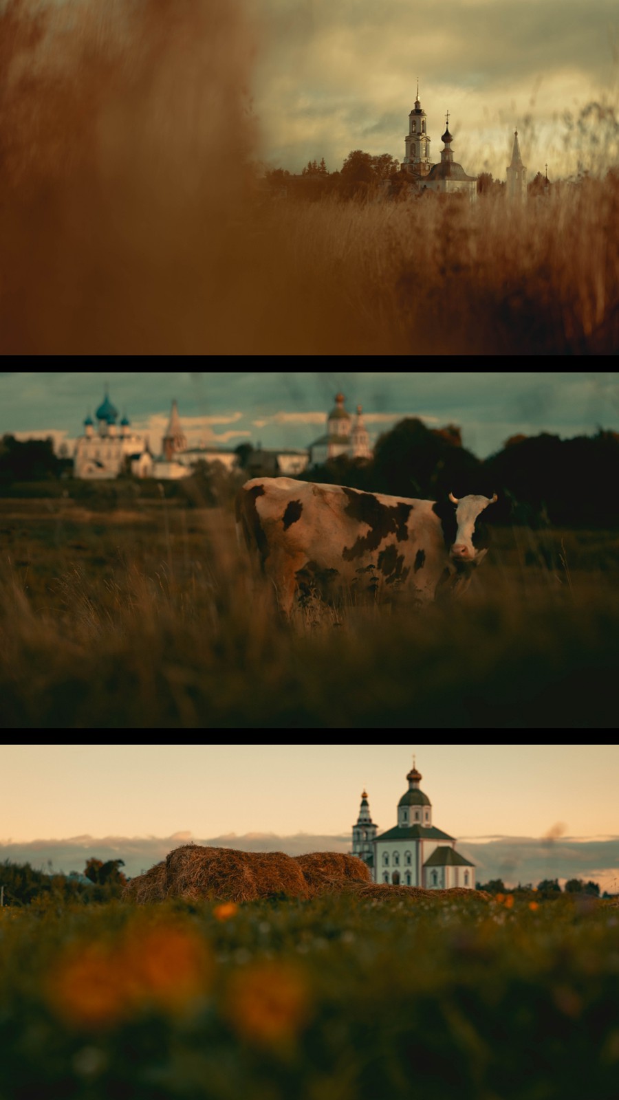 CINEMATIC COLORS 旅拍风光城市人文扫街人像 夜间摄影 电影色彩 胶片模拟 Lightroom Presets 大师预设 by Viktor Balaguer 插件预设 第7张-素材湾丨精选海外优质设计素材资源 CINEMATIC COLORS 旅拍风光城市人文扫街人像 夜间摄影 电影色彩 胶片模拟 Lightroom Presets 大师预设 by Viktor Balaguer 插件预设 sucaiwan.com