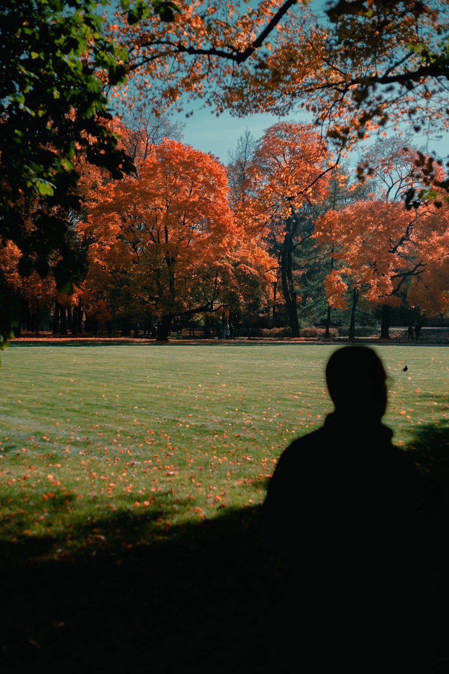 CINEMATOGRAPHE 旅拍风光城市人文扫街人像 夜间摄影 电影胶片模拟 Lightroom Presets 大师预设 by Viktor Balaguer 插件预设 第11张-素材湾丨精选海外优质设计素材资源 CINEMATOGRAPHE 旅拍风光城市人文扫街人像 夜间摄影 电影胶片模拟 Lightroom Presets 大师预设 by Viktor Balaguer 插件预设 sucaiwan.com