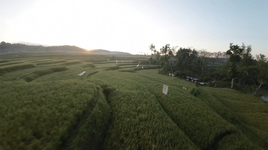 Film Space DJI Avata LUTs 大疆穿越无人机专业LUT热带雨林航拍镜头电影色彩等级 插件预设 第6张-素材湾丨精选海外优质设计素材资源 Film Space DJI Avata LUTs 大疆穿越无人机专业LUT热带雨林航拍镜头电影色彩等级 插件预设 sucaiwan.com