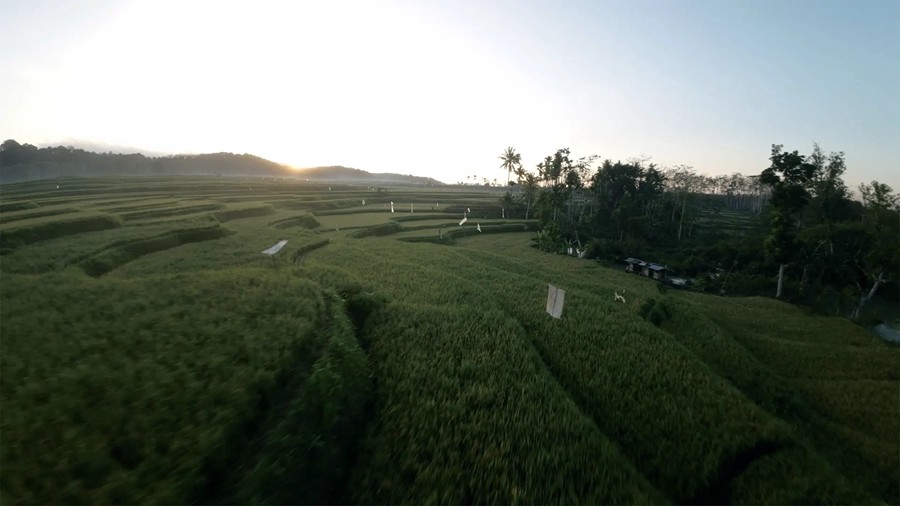 Film Space DJI Avata LUTs 大疆穿越无人机专业LUT热带雨林航拍镜头电影色彩等级 插件预设 第7张-素材湾丨精选海外优质设计素材资源 Film Space DJI Avata LUTs 大疆穿越无人机专业LUT热带雨林航拍镜头电影色彩等级 插件预设 sucaiwan.com