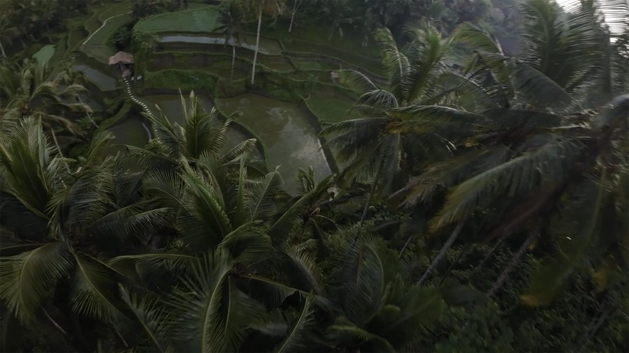 Film Space DJI Avata LUTs 大疆穿越无人机专业LUT热带雨林航拍镜头电影色彩等级 插件预设 第10张-素材湾丨精选海外优质设计素材资源 Film Space DJI Avata LUTs 大疆穿越无人机专业LUT热带雨林航拍镜头电影色彩等级 插件预设 sucaiwan.com