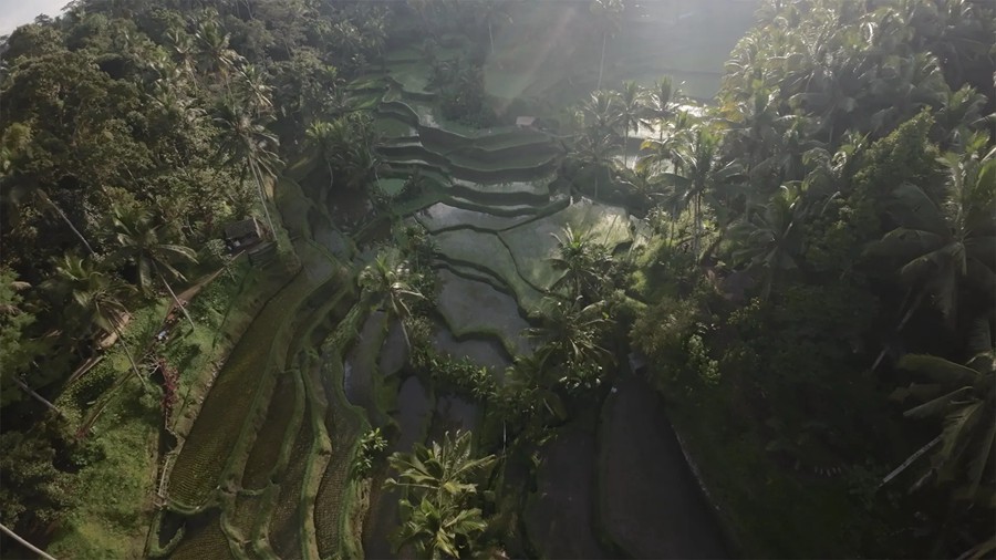 Film Space DJI Avata LUTs 大疆穿越无人机专业LUT热带雨林航拍镜头电影色彩等级 插件预设 第12张-素材湾丨精选海外优质设计素材资源 Film Space DJI Avata LUTs 大疆穿越无人机专业LUT热带雨林航拍镜头电影色彩等级 插件预设 sucaiwan.com