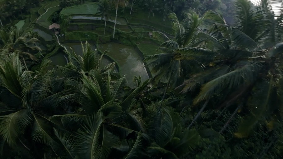 Film Space DJI Avata LUTs 大疆穿越无人机专业LUT热带雨林航拍镜头电影色彩等级 插件预设 第11张-素材湾丨精选海外优质设计素材资源 Film Space DJI Avata LUTs 大疆穿越无人机专业LUT热带雨林航拍镜头电影色彩等级 插件预设 sucaiwan.com