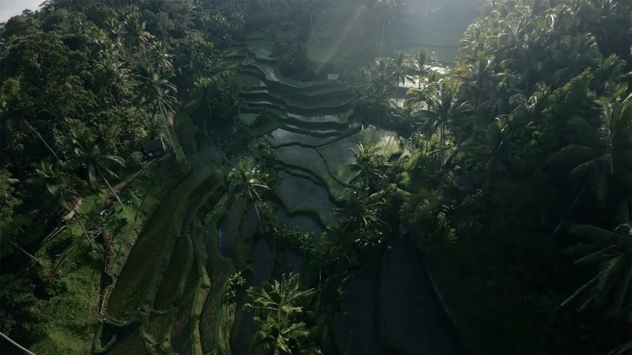 Film Space DJI Avata LUTs 大疆穿越无人机专业LUT热带雨林航拍镜头电影色彩等级 插件预设 第13张-素材湾丨精选海外优质设计素材资源 Film Space DJI Avata LUTs 大疆穿越无人机专业LUT热带雨林航拍镜头电影色彩等级 插件预设 sucaiwan.com