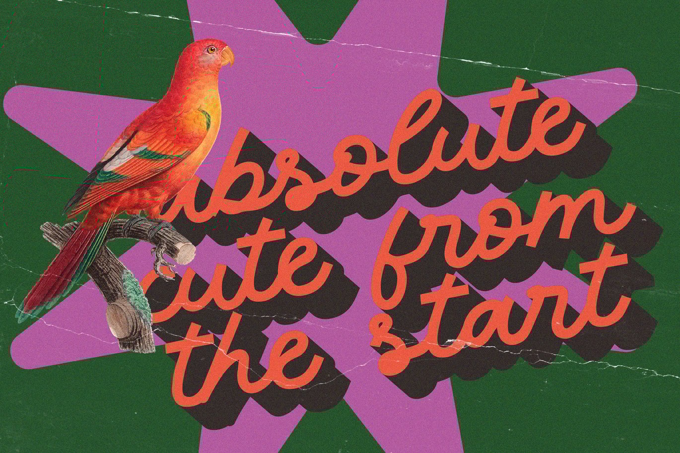 复古波西米亚风老式手写品牌Logo海报杂志标题设计PSAI英文字体安装包 Vertigos Wijond – Handwritten Monoline Script Font 设计素材 第3张-素材湾丨精选海外优质设计素材资源 复古波西米亚风老式手写品牌Logo海报杂志标题设计PSAI英文字体安装包 Vertigos Wijond – Handwritten Monoline Script Font 设计素材 sucaiwan.com