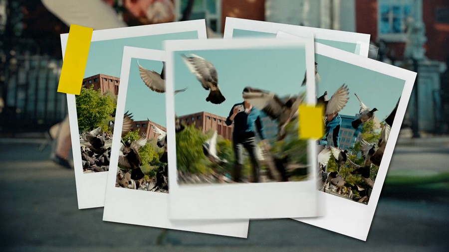 4K复古时尚宝丽来相框转场过渡PR/AE模板 Polaroid Frames Transitions 影视音频 sucaiwan.com