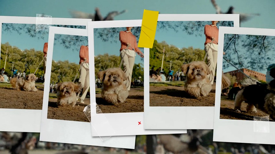 4K复古时尚宝丽来相框转场过渡PR/AE模板 Polaroid Frames Transitions 影视音频 sucaiwan.com