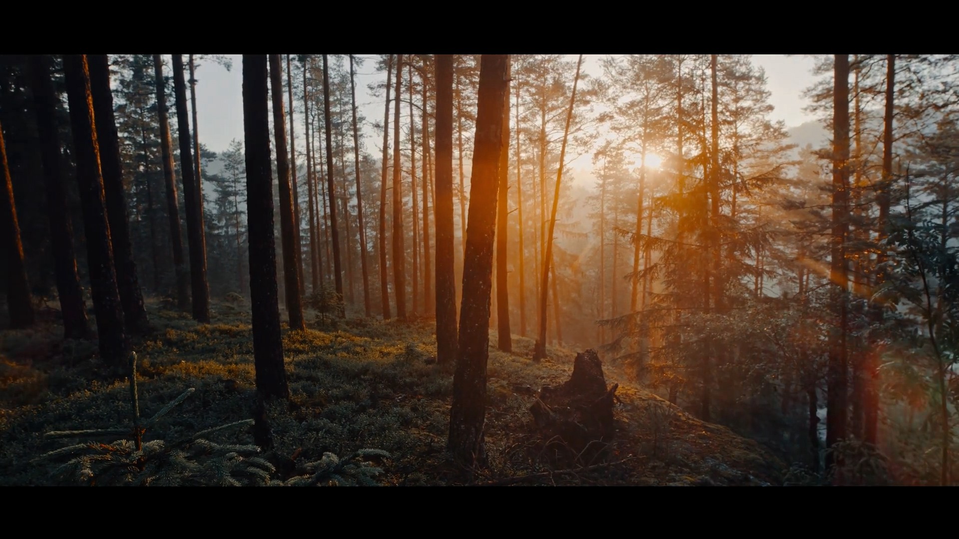 DaVinci Resolve 达芬奇模板 镜头光晕、光线过渡、漏光效果转场过渡 Light FX 插件预设 sucaiwan.com