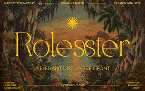 时尚优雅品牌邀请函徽标设计衬线英文字体安装包 Rollester – Elegant Serif Font