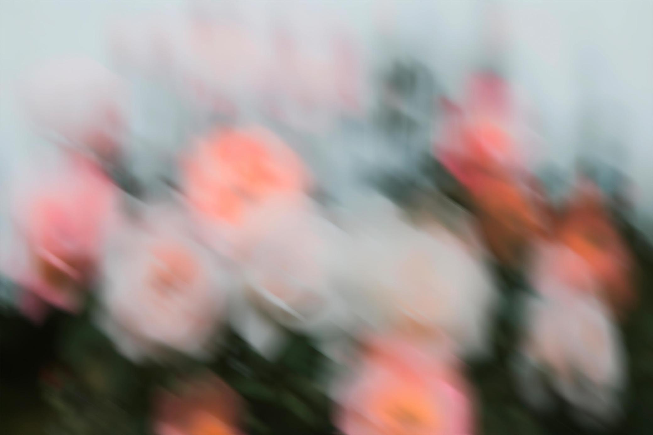 6款抽象艺术运动模糊花朵花卉渐变弥散光背景壁纸图片设计套装Muted Memories: Abstract Backgrounds 图片素材 sucaiwan.com