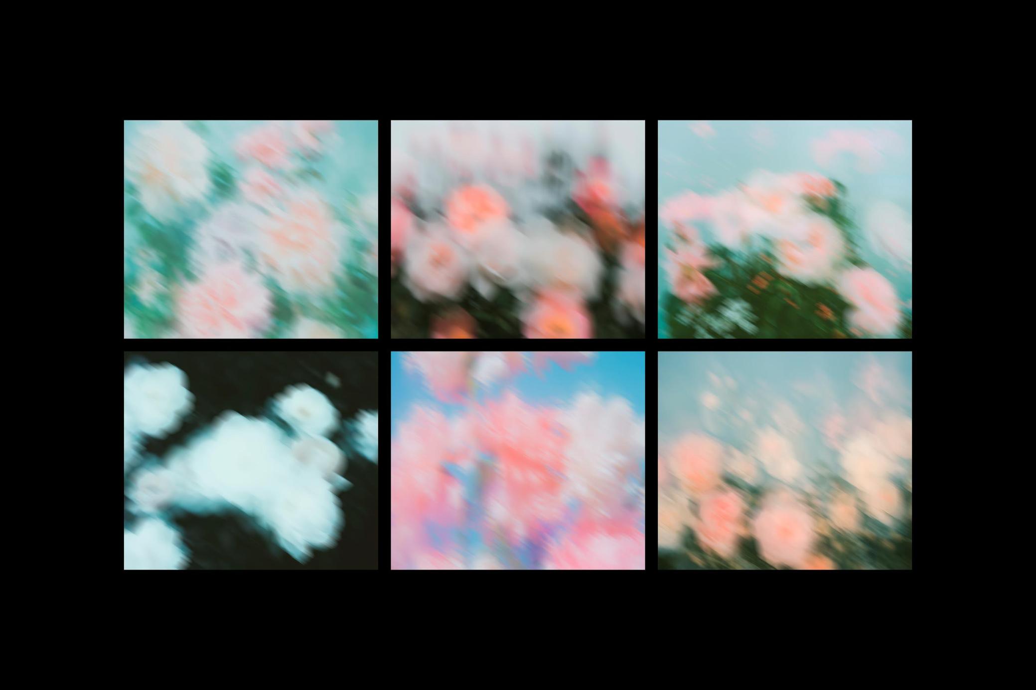 6款抽象艺术运动模糊花朵花卉渐变弥散光背景壁纸图片设计套装Muted Memories: Abstract Backgrounds 图片素材 sucaiwan.com