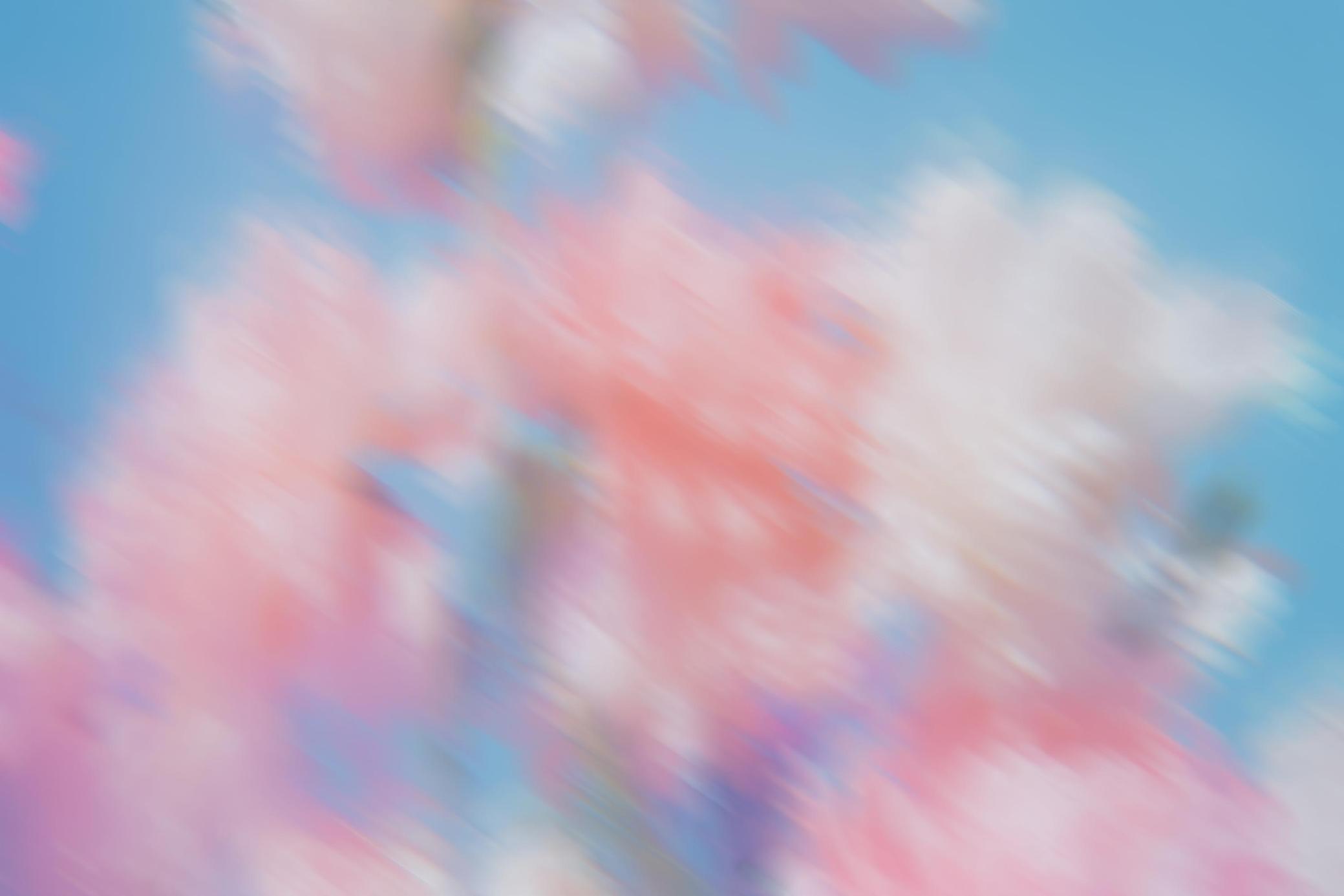 6款抽象艺术运动模糊花朵花卉渐变弥散光背景壁纸图片设计套装Muted Memories: Abstract Backgrounds 图片素材 sucaiwan.com