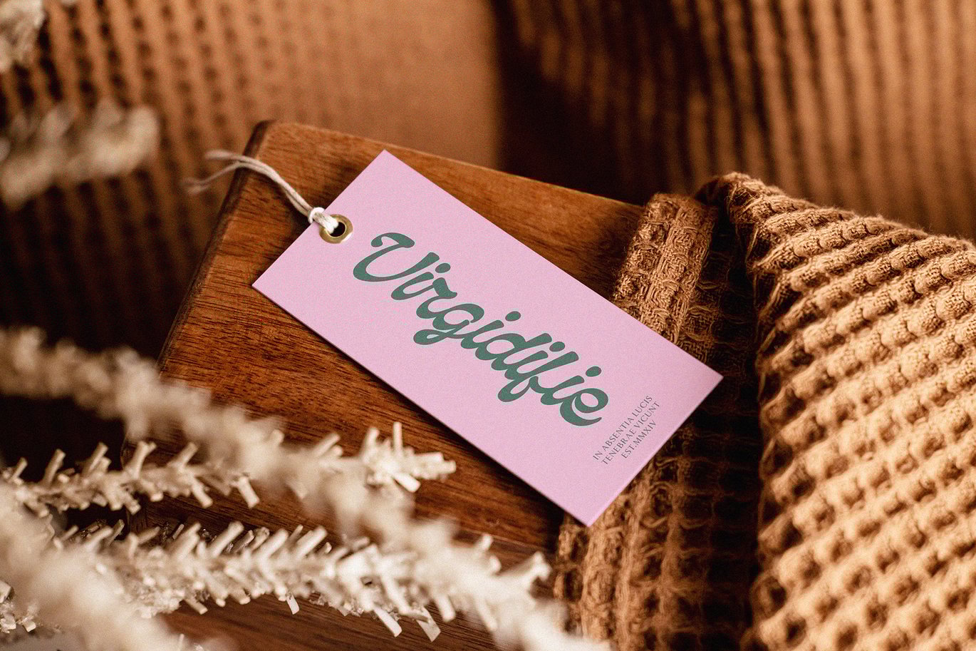 复古国外英伦徽标Logo海报杂志标题设计PSAI手写英文字体安装包 Qanproy Woldriug – Casual Script Font 设计素材 第12张-素材湾丨精选海外优质设计素材资源 复古国外英伦徽标Logo海报杂志标题设计PSAI手写英文字体安装包 Qanproy Woldriug – Casual Script Font 设计素材 sucaiwan.com