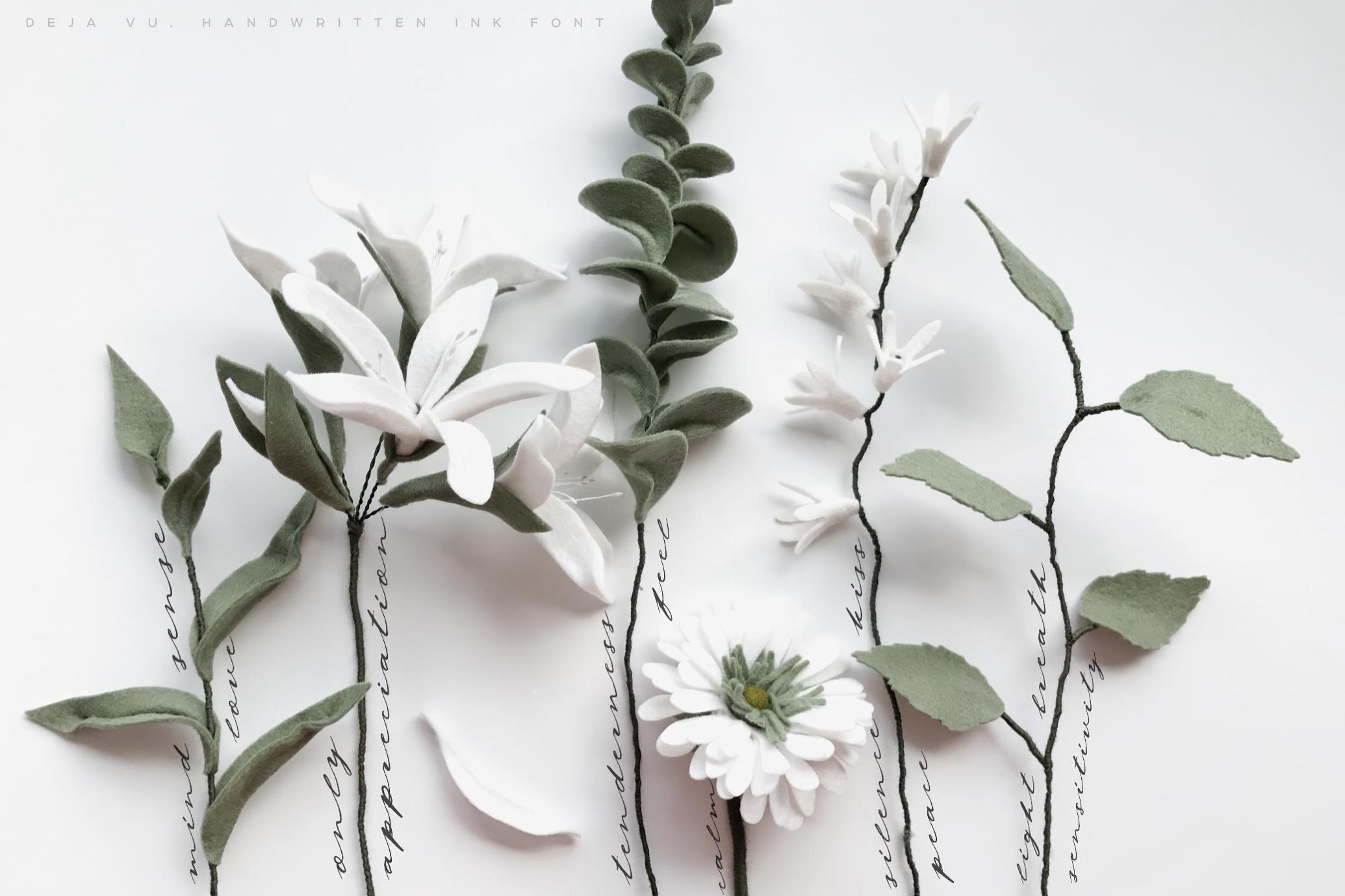 复古艺术羽毛墨水飞溅标题排版手写西文英文字体Deja-Vu — Handwritten Ink Font , 第12张-素材湾丨精选海外优质设计素材资源 复古艺术羽毛墨水飞溅标题排版手写西文英文字体Deja-Vu — Handwritten Ink Font , sucaiwan.com