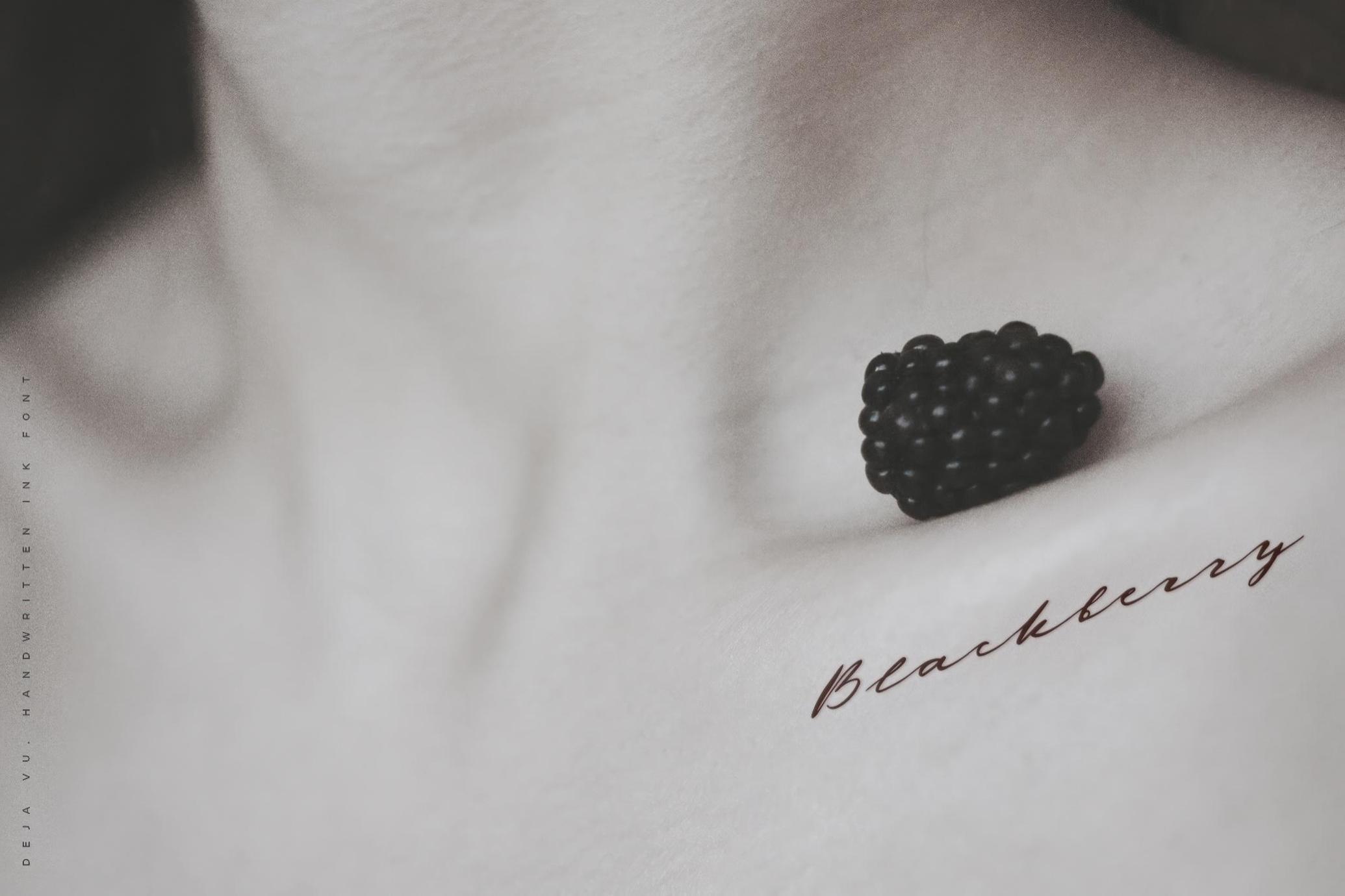 复古艺术羽毛墨水飞溅标题排版手写西文英文字体Deja-Vu — Handwritten Ink Font , 第11张-素材湾丨精选海外优质设计素材资源 复古艺术羽毛墨水飞溅标题排版手写西文英文字体Deja-Vu — Handwritten Ink Font , sucaiwan.com