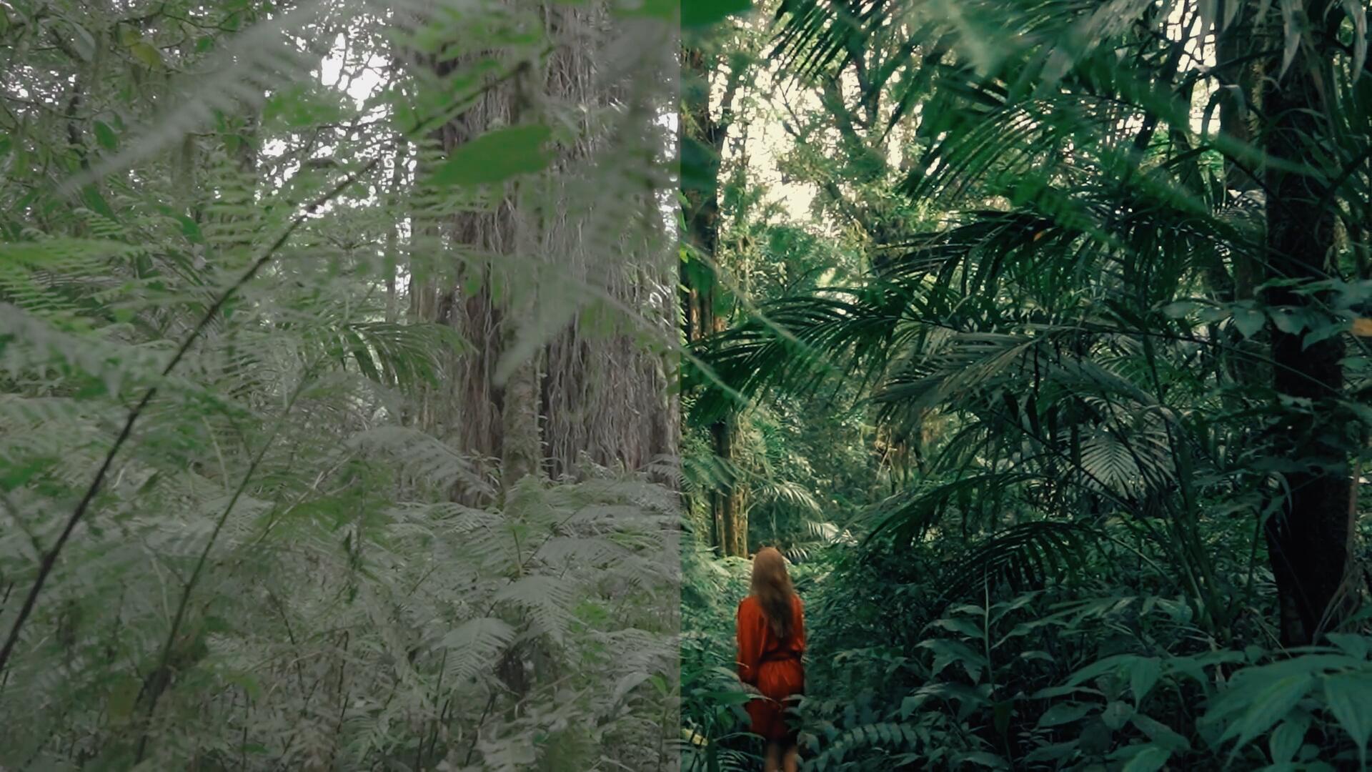 20多个复好莱坞蓝绿色调美学电影感商业级电影胶片模拟LUT调色预设 Cinema Magic - Teal Orange Cinematic LUTs 插件预设 第7张-素材湾丨精选海外优质设计素材资源 20多个复好莱坞蓝绿色调美学电影感商业级电影胶片模拟LUT调色预设 Cinema Magic - Teal Orange Cinematic LUTs 插件预设 sucaiwan.com