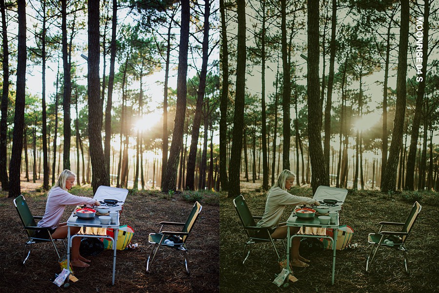 20款电影质感复古怀旧照片视频色彩分级调色LR/LUT预设素材20 Wes Film Lightroom Presets and LUTs 插件预设 第7张-素材湾丨精选海外优质设计素材资源 20款电影质感复古怀旧照片视频色彩分级调色LR/LUT预设素材20 Wes Film Lightroom Presets and LUTs 插件预设 sucaiwan.com