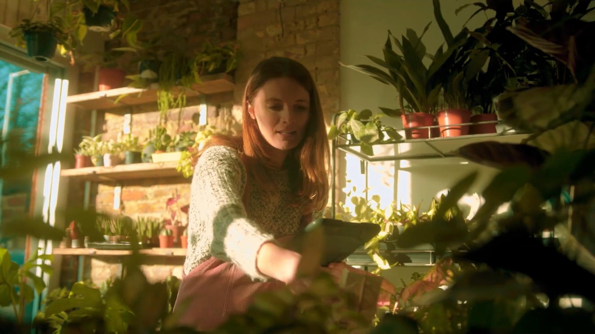 Pixflow - CL-BlackMagic Lut Pack 高品质重现BlackMagic专业电影机风格色彩分级LUT调色预设 插件预设 第5张-素材湾丨精选海外优质设计素材资源 Pixflow - CL-BlackMagic Lut Pack 高品质重现BlackMagic专业电影机风格色彩分级LUT调色预设 插件预设 sucaiwan.com